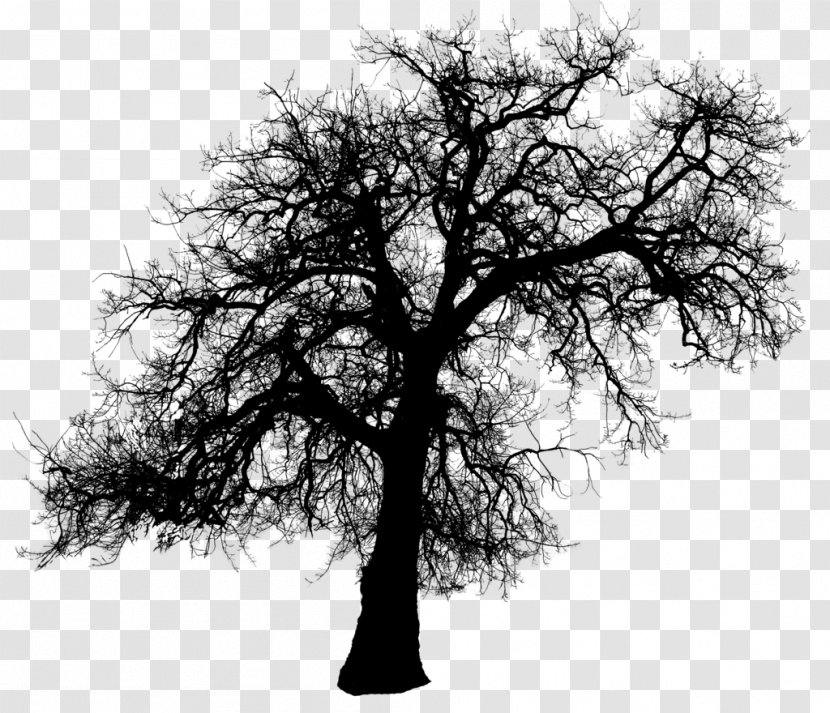 Tree Silhouette Clip Art - Black And White - Trees Transparent PNG