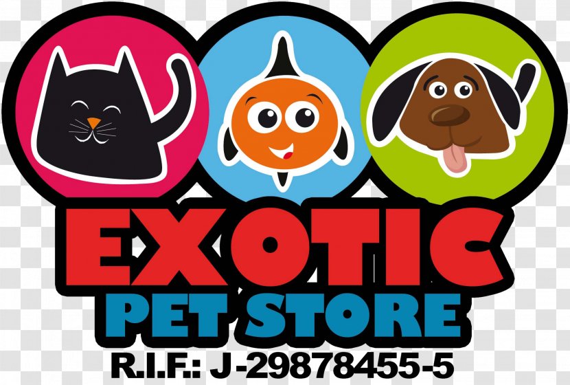 Exotic Pet Store Aquarium Shop Cat - Fishkeeping Transparent PNG