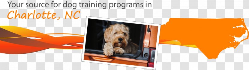 Malinois Dog Training Guard Breed Charlotte - Brand Transparent PNG