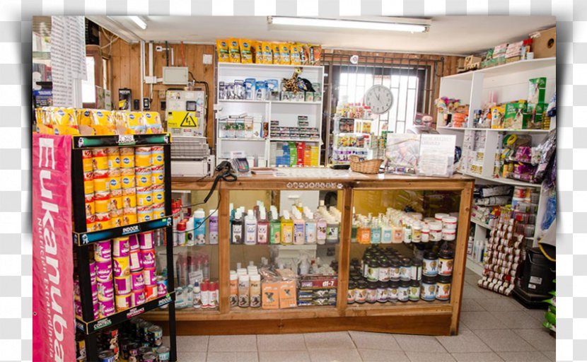 Convenience Shop Pet Supermarket Food - Market Transparent PNG