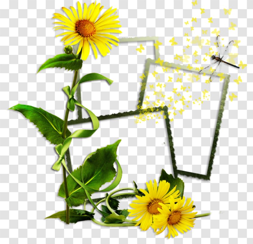 Arrive - Yellow - Petal Transparent PNG