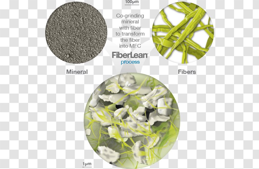 FiberLean® Technologies Ltd Plastic Keyword Research Film Producer Cellulose - Calcium Carbonate Transparent PNG