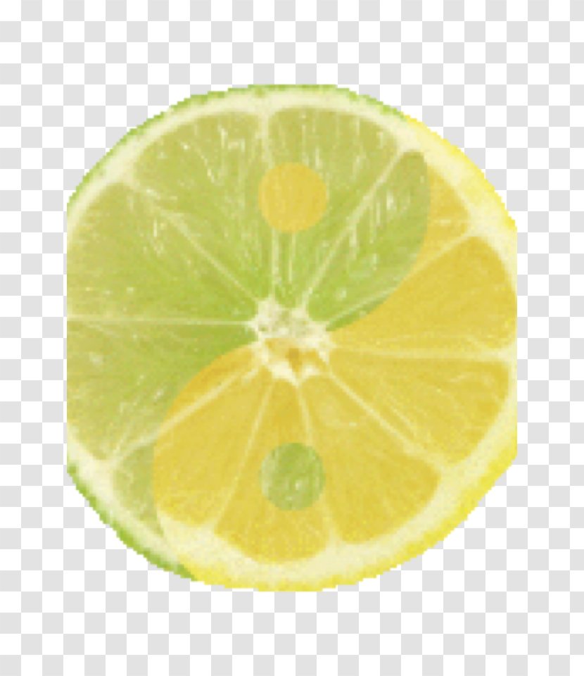 Lemon-lime Drink Key Lime Persian - Orange Transparent PNG