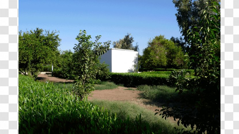 Architecture Studio Tamassociati Garden Pavilion - House Transparent PNG
