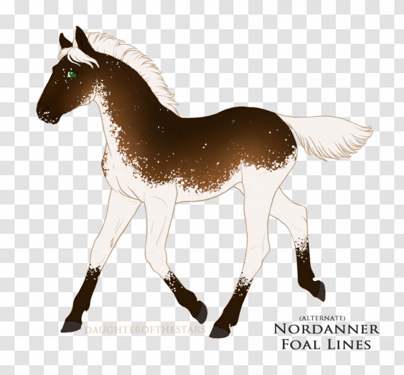 Mule Foal Stallion Mustang Mare - Bridle Transparent PNG
