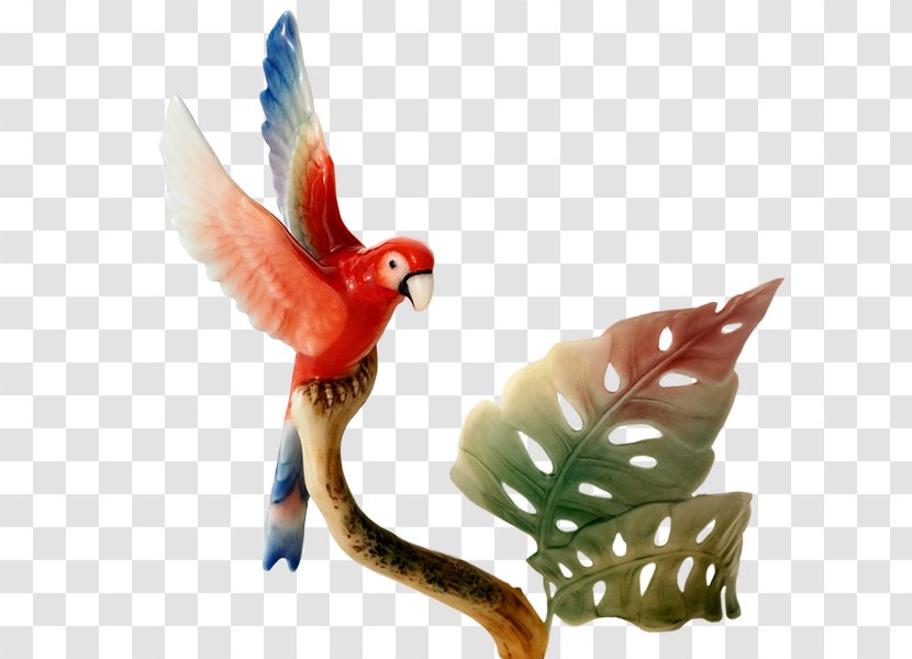 Macaw Amazon Parrot Icon - Beak Transparent PNG