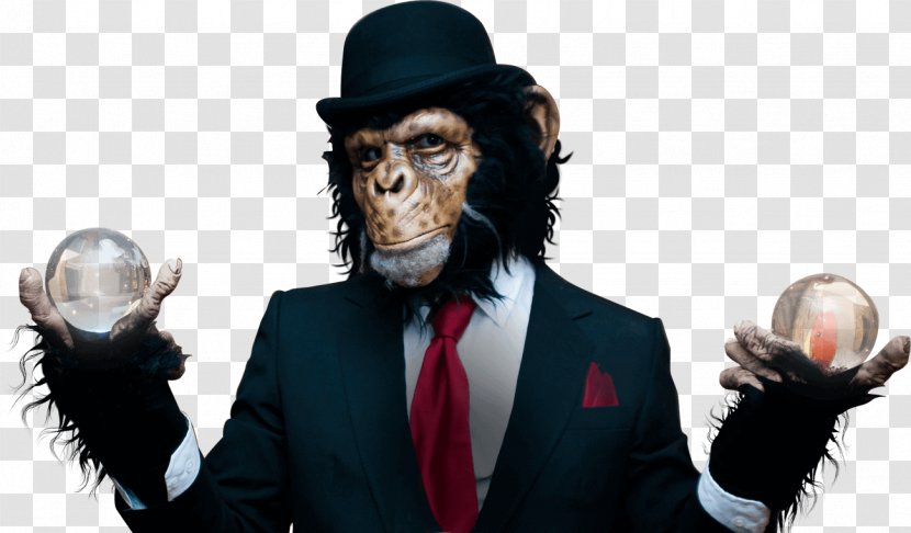 Party Corporate Entertainment Search Engine Optimization Company - Gentleman - Chimpanzee Transparent PNG