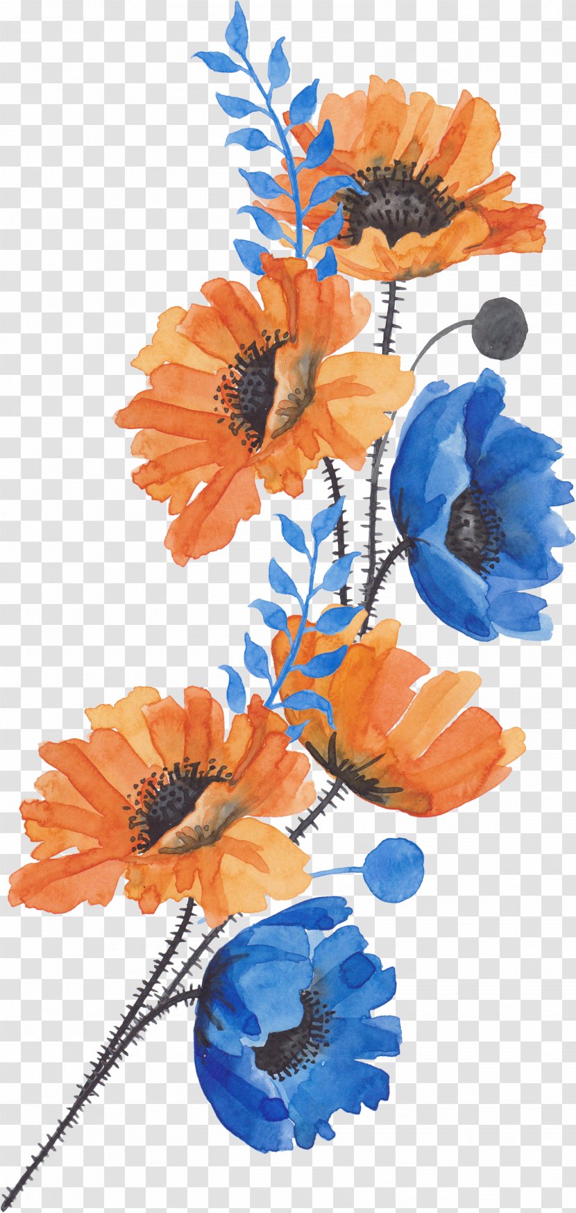 Common Poppy Flower - Art - A Bouquet Of Flowers Transparent PNG