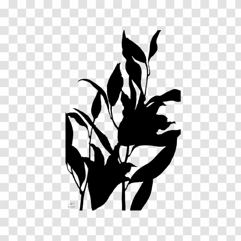 Black & White - Botany - M Clip Art Silhouette Illustration Logo Transparent PNG