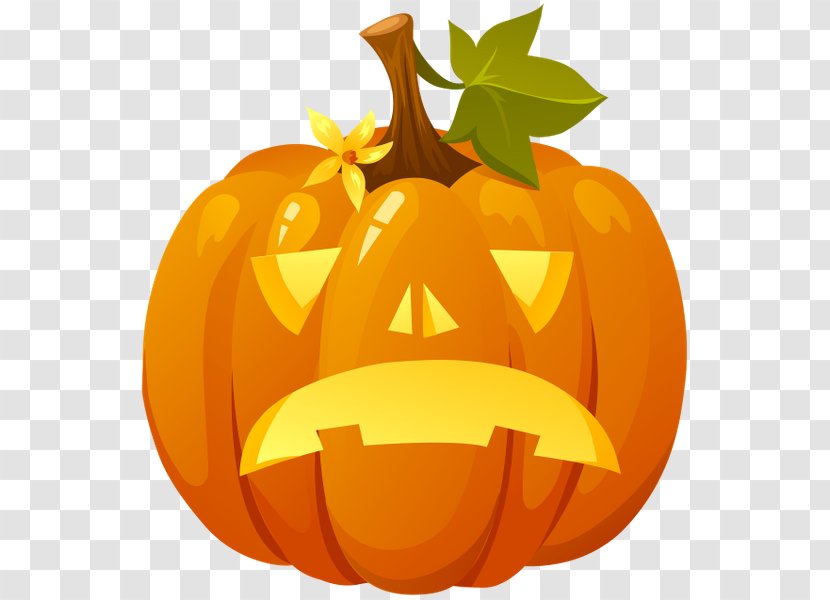 New Hampshire Pumpkin Festival Jack-o'-lantern Halloween Cucurbita - Squash Transparent PNG