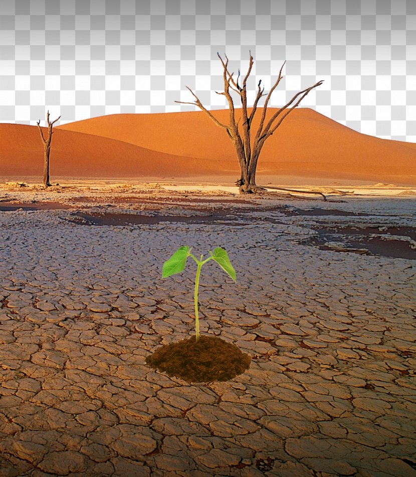 Drought Natural Disaster Water Desertification - Resource - Lack Of Resources Transparent PNG