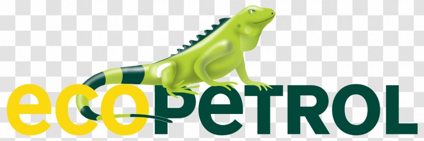 Ecopetrol Business Organization Petroleum Industry Petrobras - Shoe Transparent PNG