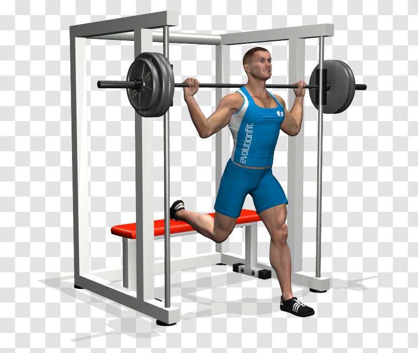 Squat Lunge Exercise Machine Quadriceps Femoris Muscle - Flower - Barbell Transparent PNG