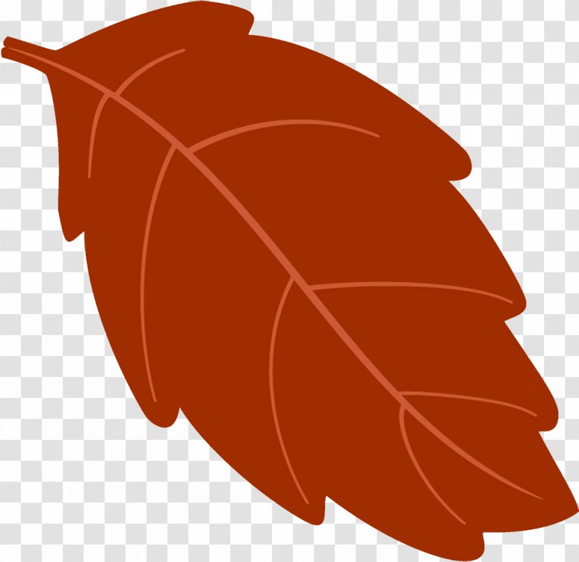 Autumn Leaf Fallen Dead - Plant Transparent PNG