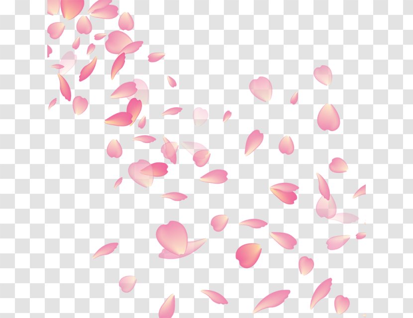 Cherry Blossom My Flower - Sevda - Blossoms Transparent PNG