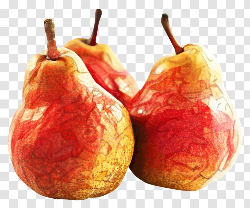 Apple Tree - Accessory Fruit Transparent PNG
