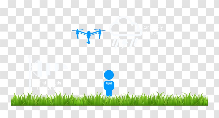 Unmanned Aerial Vehicle Photography Civil Aviation Authority HexII Grasses - Commodity Transparent PNG