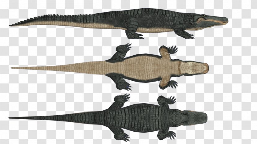 Purussaurus Alligators Animal Brazil Dinosaur - Species - Fauna Transparent PNG