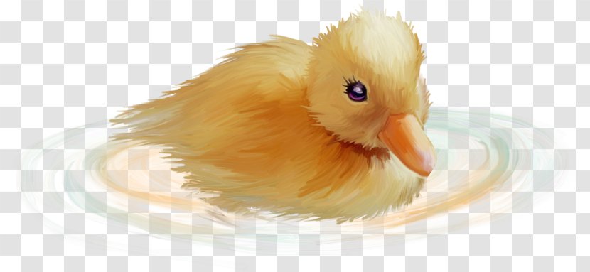 Duck Clip Art Transparent PNG