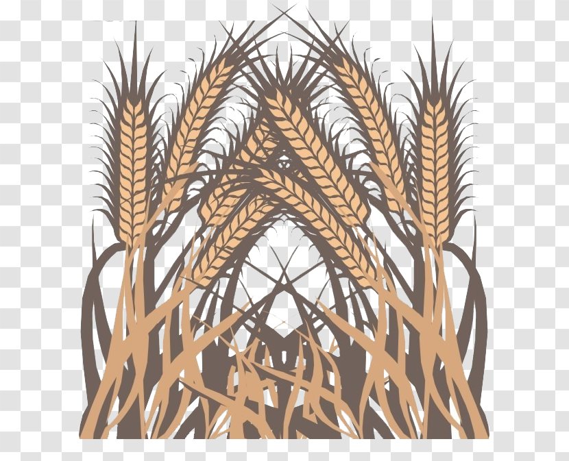 Wheat Euclidean Vector - Plant - Golden Barley Transparent PNG