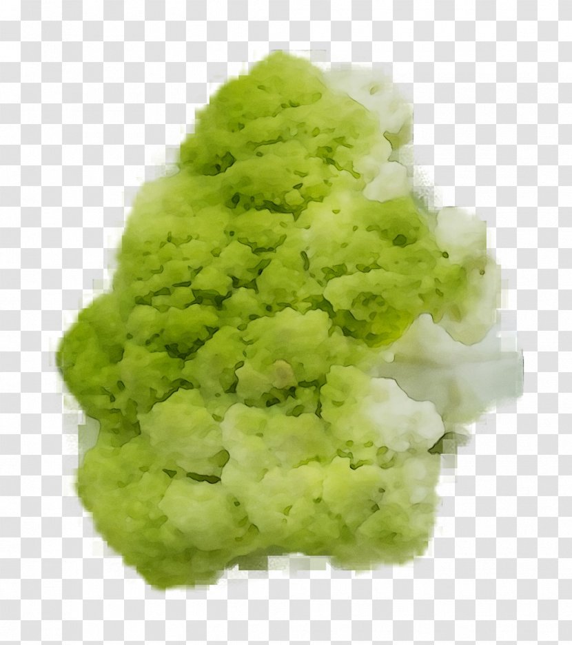 Broccoli - Plant - Leaf Vegetable Transparent PNG