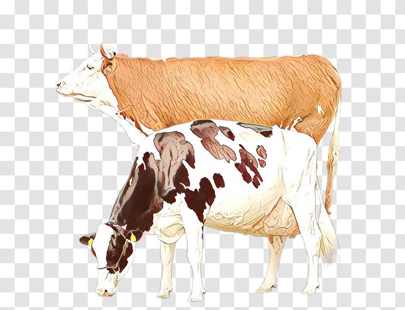 Dairy Cow Bovine Livestock Cow-goat Family Calf - Fawn Drawing Transparent PNG