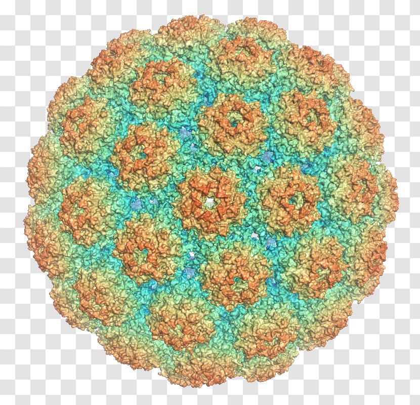 Polyomaviridae Major Capsid Protein VP1 Murine Polyomavirus - Crochet Transparent PNG
