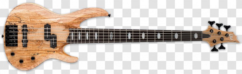 Bass Guitar Fender Precision ESP LTD B205SM Guitars - Frame Transparent PNG