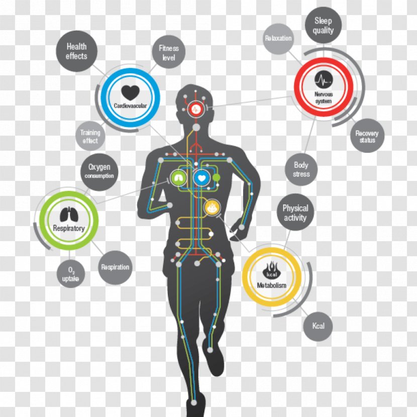 Research Physiology Exercise Technology Science - Tree - Physiotherapy Transparent PNG