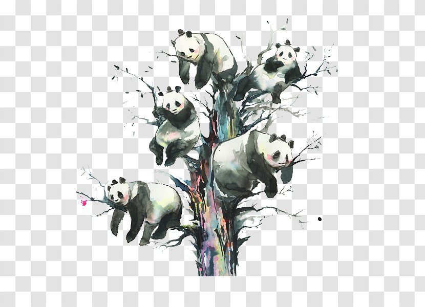 Watercolor Painting Art Printmaking Grunge - Frame - Panda On Branch Transparent PNG