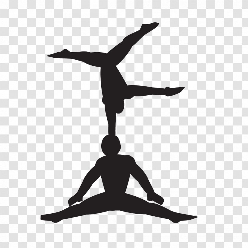 Graphics Whisky Black & White 750 Ml Silhouette Facebook Physical Fitness - Aerial Silk Acrobatics Classes Transparent PNG