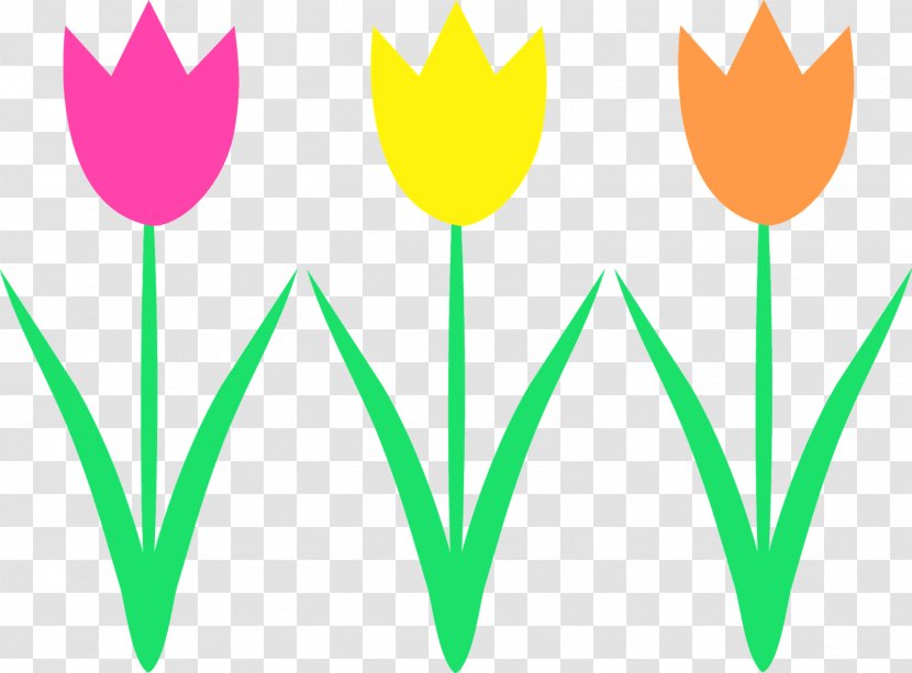 Tulip Flower Clip Art - Flowering Plant Transparent PNG