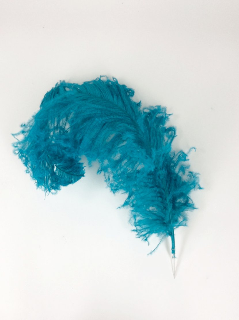 Common Ostrich Feather Boa Turquoise Teal - Dimension Transparent PNG