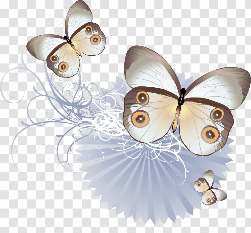 Butterfly Iron-on Clip Art - Drawing - Abstract Transparent PNG