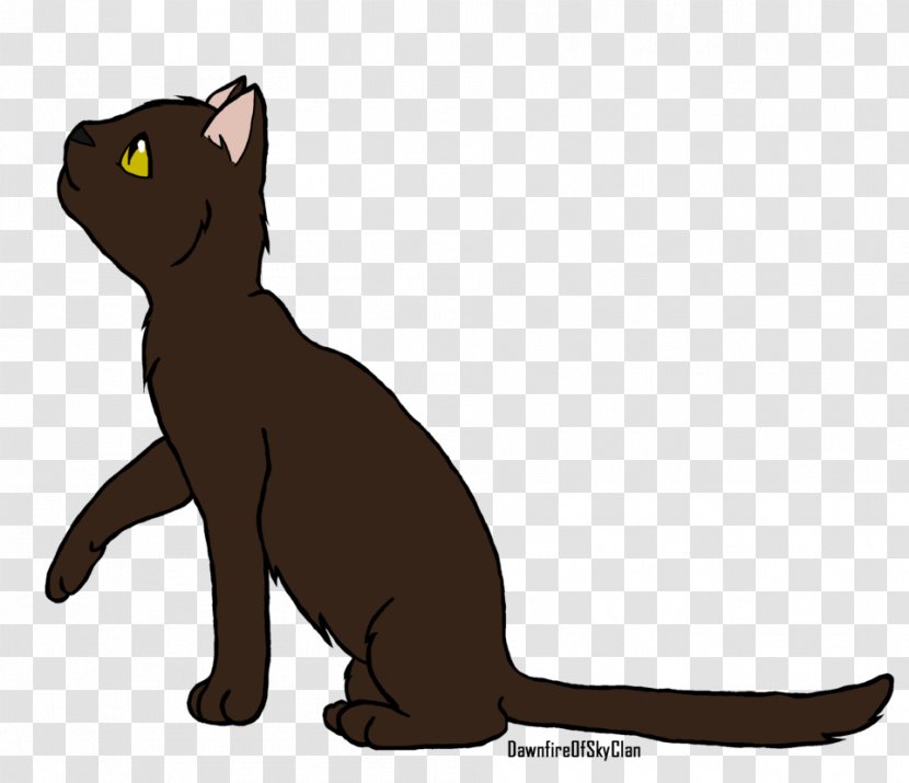 Whiskers Kitten Domestic Short-haired Cat Black - Tail Transparent PNG