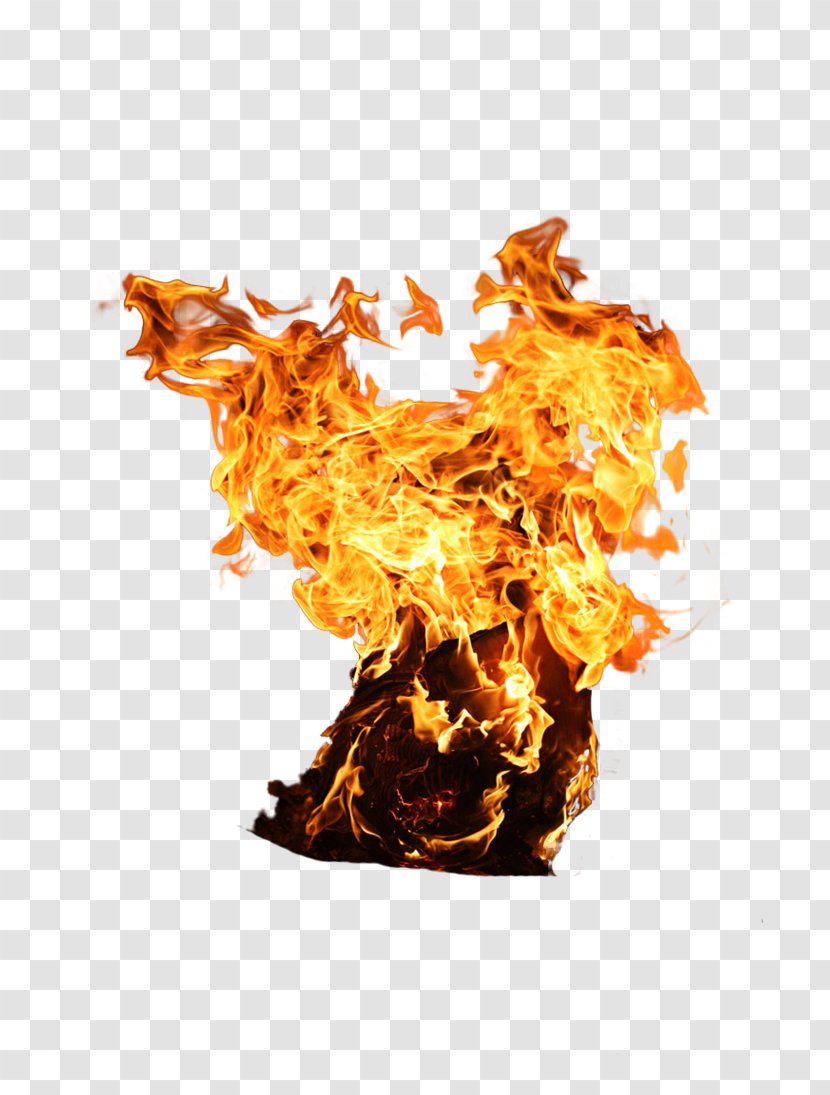 Fire Flame Clip Art Transparent PNG