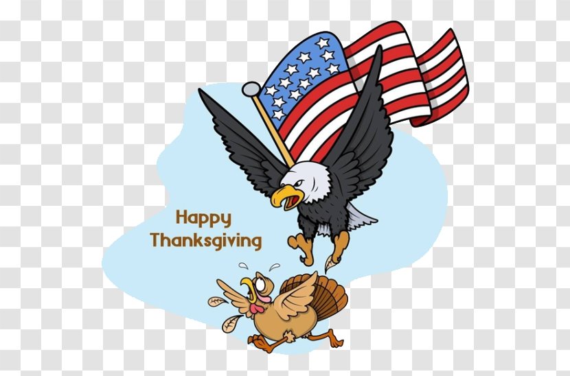 Turkey Bald Eagle Bird - Wing - Thanksgiving Transparent PNG