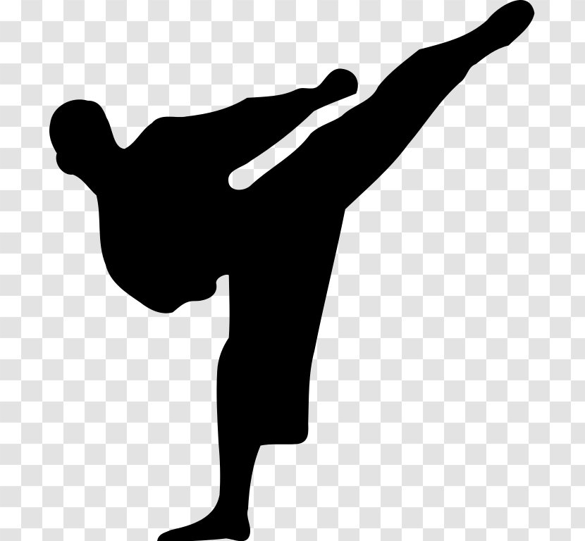 Karate Kickboxing Martial Arts - Black Belt - Athlete Silhouette Transparent PNG