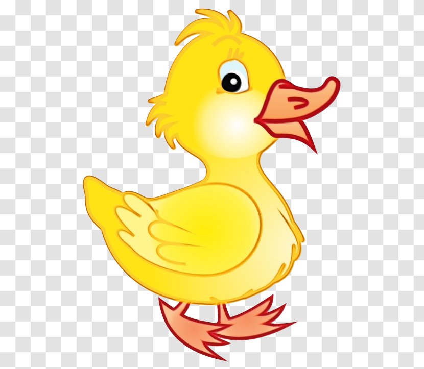 Bird Cartoon Beak Duck Yellow - Chicken Water Transparent PNG
