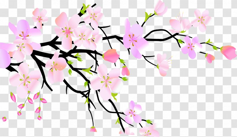 Plum Blossom Peach - Cut Flowers - Pink Transparent PNG