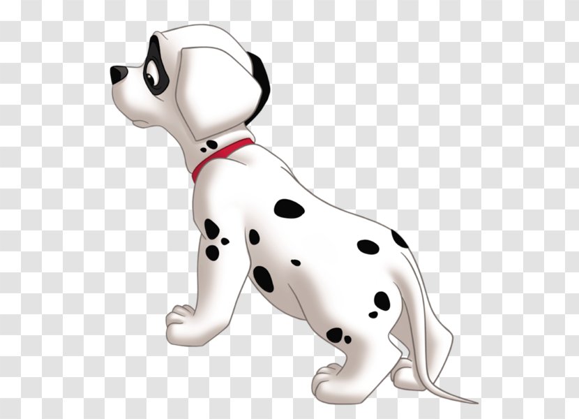 Dalmatian Dog The Hundred And One Dalmatians Cruella De Vil Puppy Clip Art - Lucky Transparent PNG
