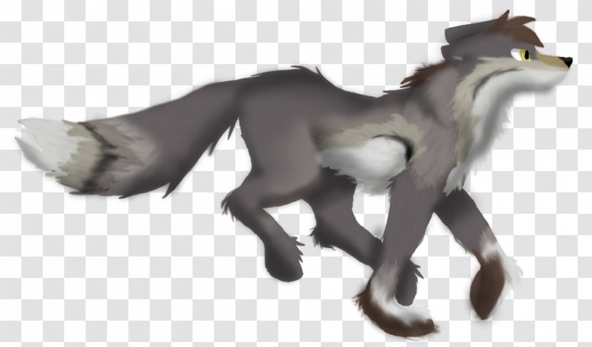 Gray Wolf Fauna Fur Snout Wildlife - Tried Transparent PNG