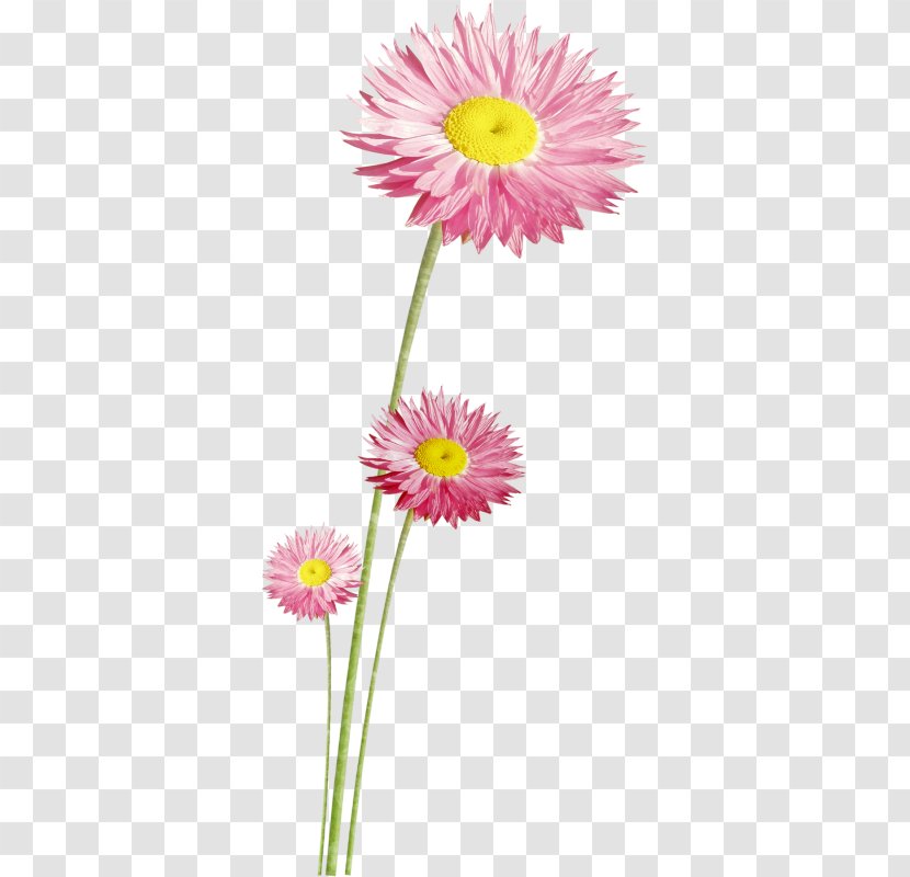 Scrapbooking Drawing Work Of Art - Pink Family - Flower Transparent PNG