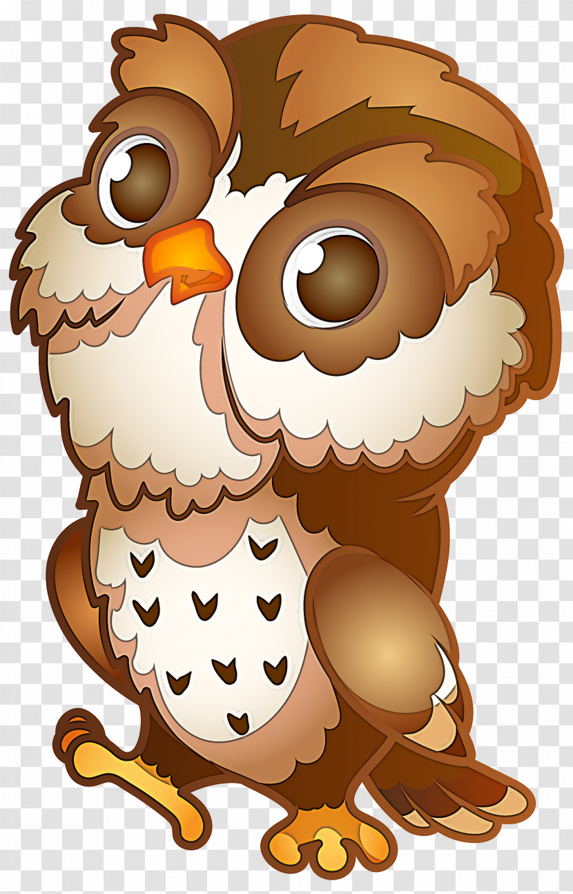 Owl Cartoon Bird Of Prey Bird Transparent PNG