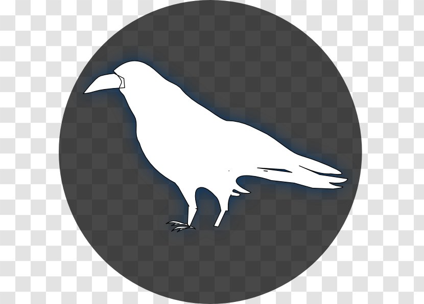 Common Raven Baltimore Ravens Drawing Clip Art - Cliparts Transparent PNG