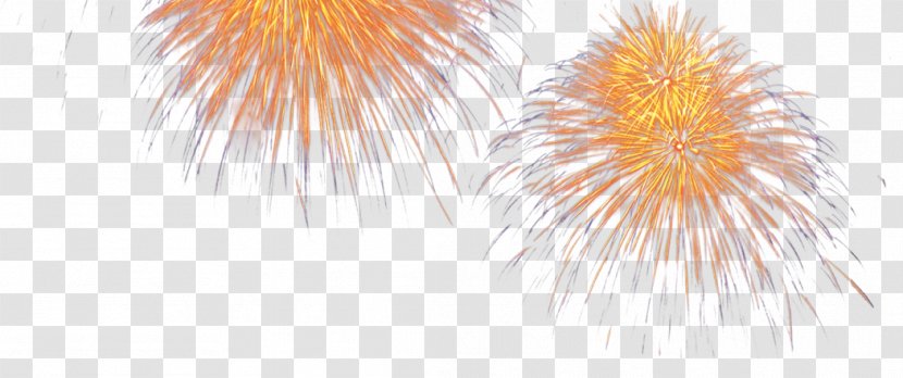 Petal Computer Wallpaper - Bloom Of Fireworks Transparent PNG