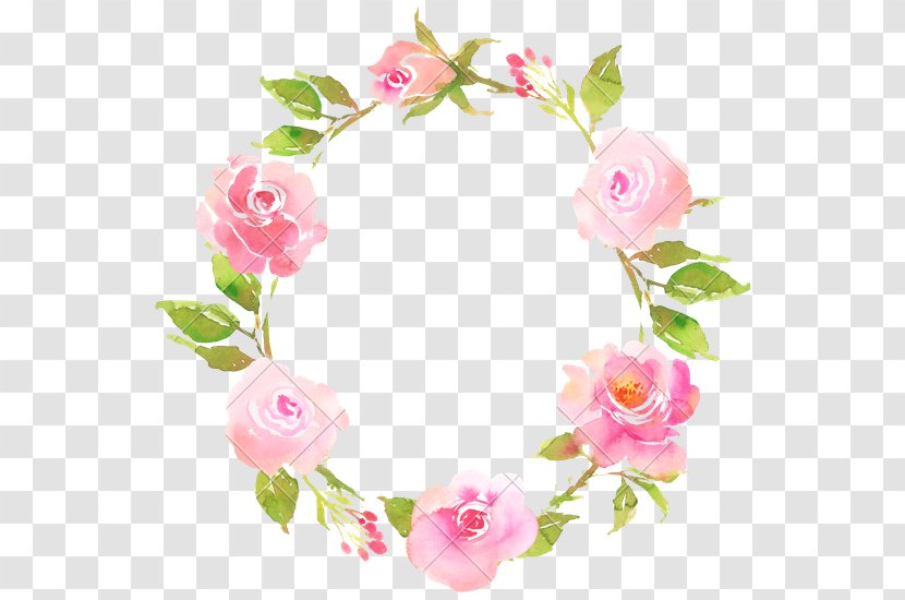 Flower Watercolor Painting Royalty-free Stock Photography - Rose Order - Wreath Transparent PNG