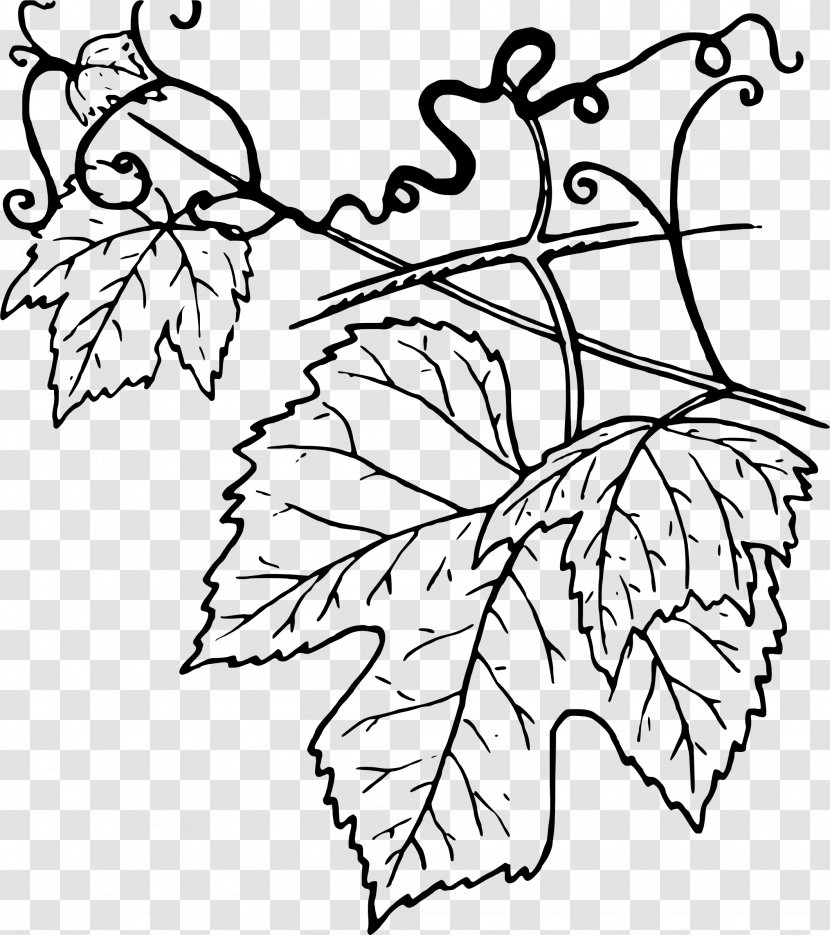 Common Grape Vine Leaves Wine Clip Art - Grapevines Transparent PNG