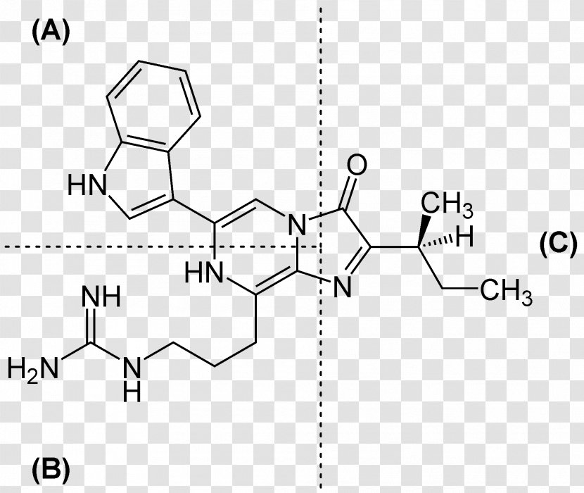 Luciferin Malachite Green Chemical Compound Repaglinide Peptide Transparent PNG