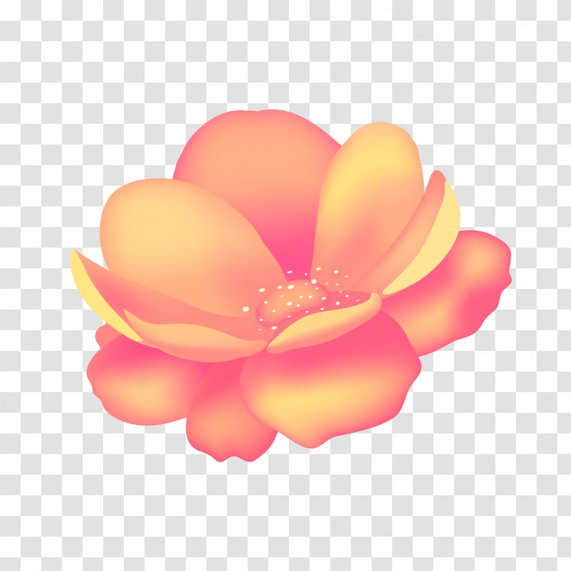 Cartoon Peach Rose Family Image - Orange - Delicate Flower Transparent PNG